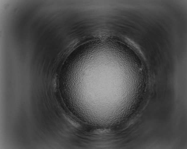 X0000052600065200507160022