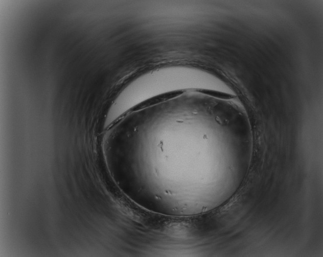 X0000052600066200507160022