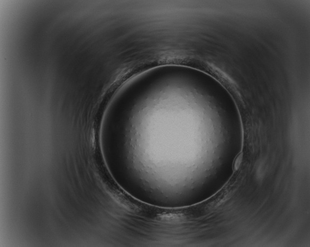 X0000052600067200507160022