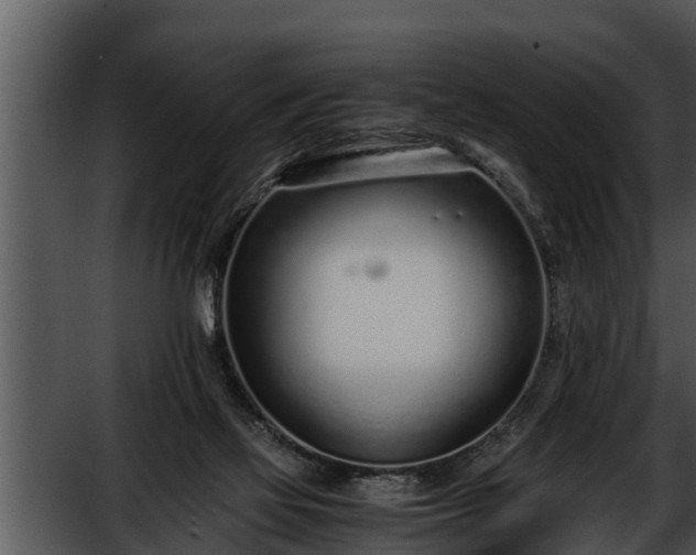 X0000052600069200507160022