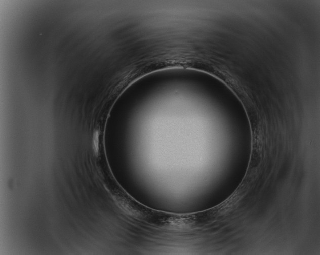 X0000052600070200507160022