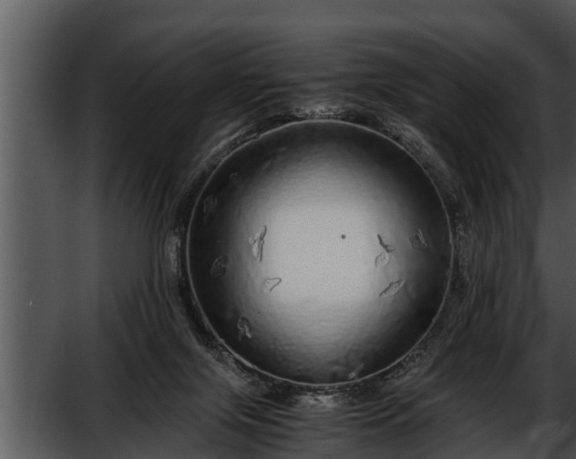 X0000052600071200507160022