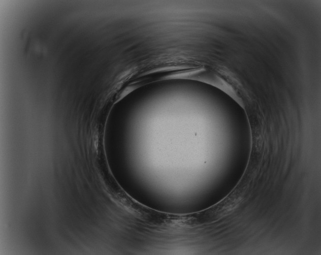 X0000052600072200507160022