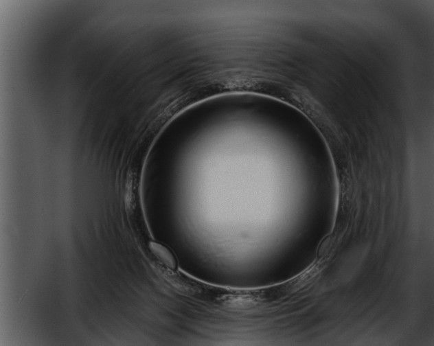 X0000052600074200507160022