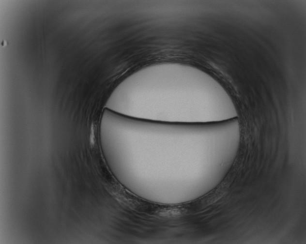 X0000052600075200507160022