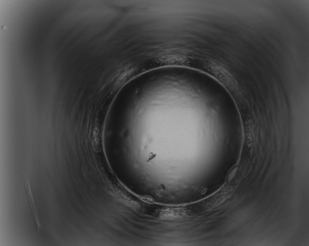 X0000052600077200507160022