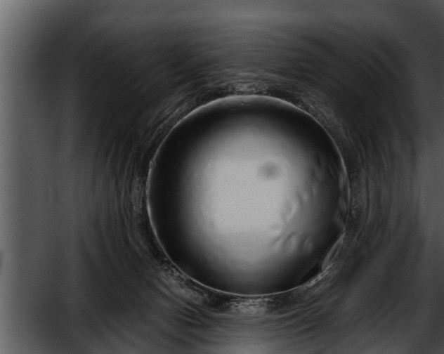 X0000052600078200507160022