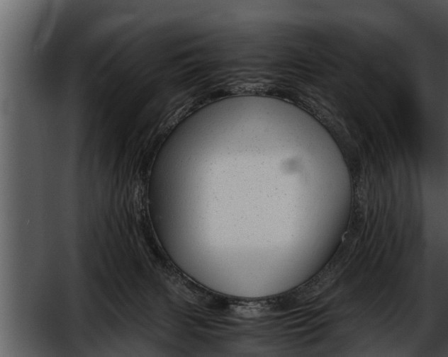 X0000052600079200507160022