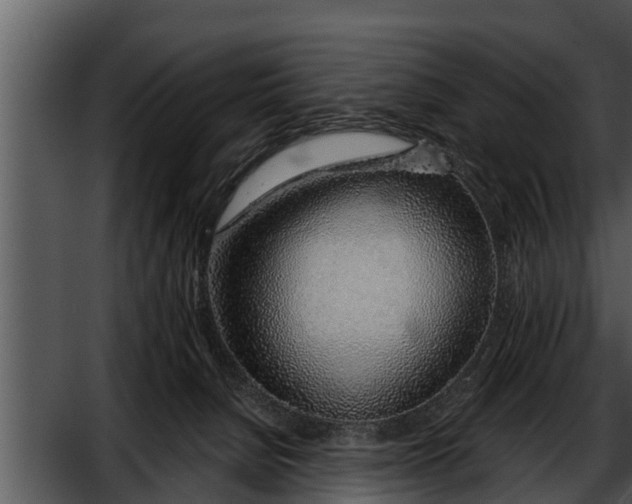 X0000052600080200507160022