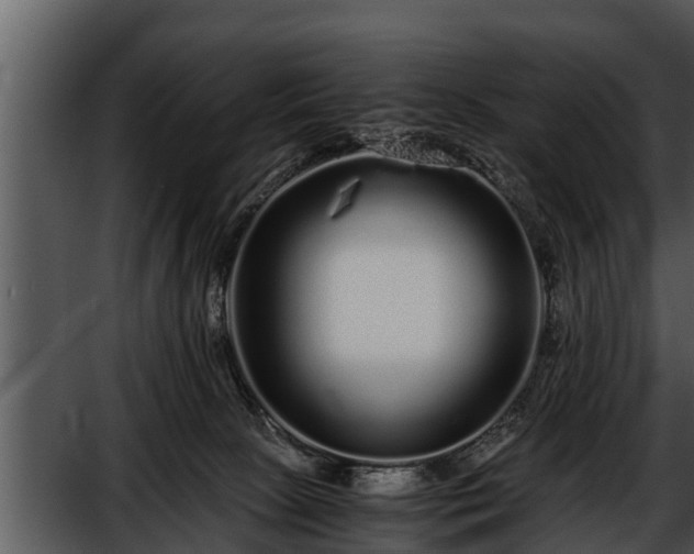 X0000052600081200507160022