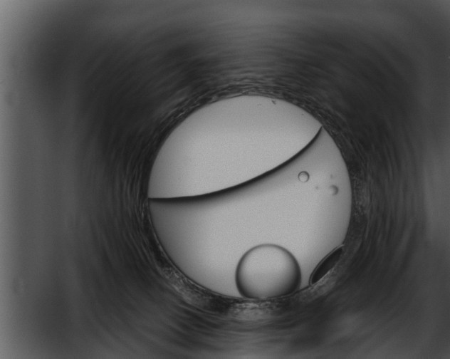 X0000052600082200507160022