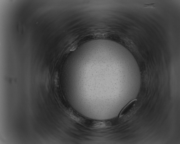 X0000052600083200507160022