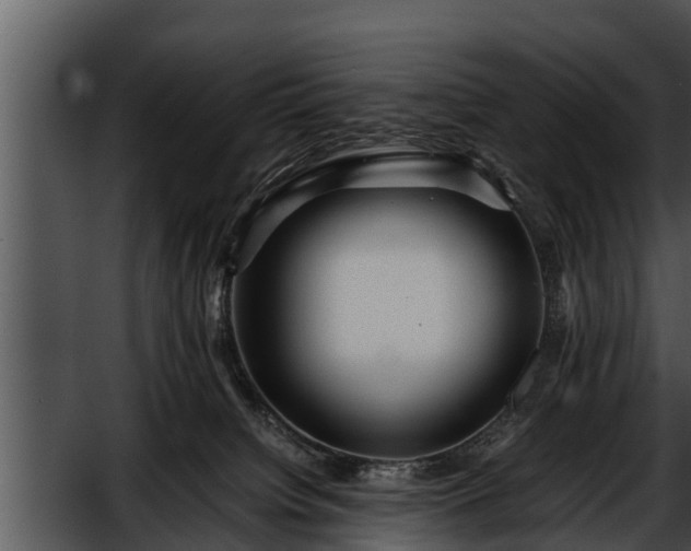 X0000052600084200507160022