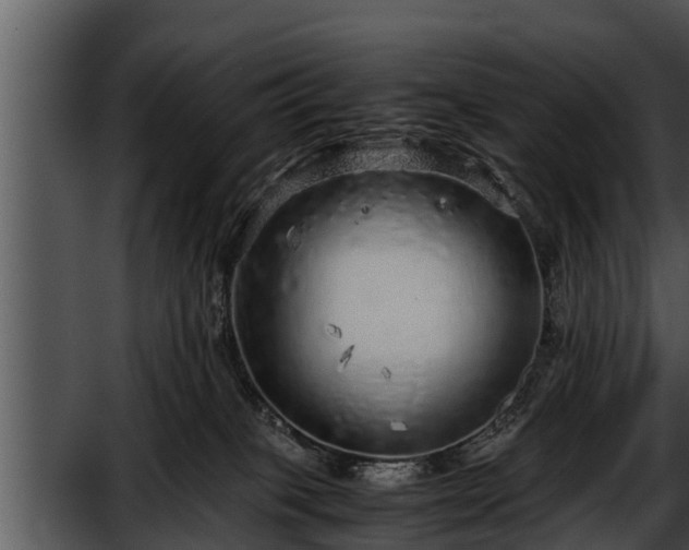 X0000052600085200507160022