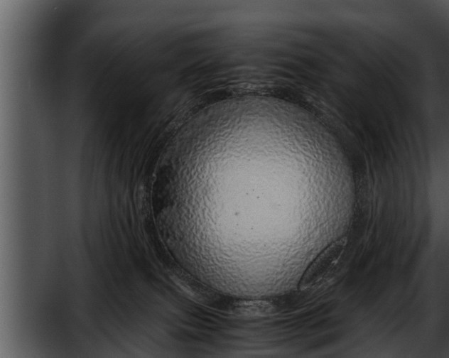 X0000052600087200507160022