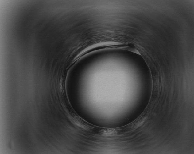 X0000052600088200507160022