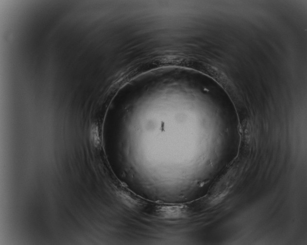 X0000052600089200507160022