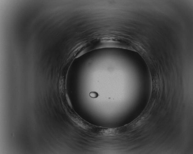 X0000052600092200507160022