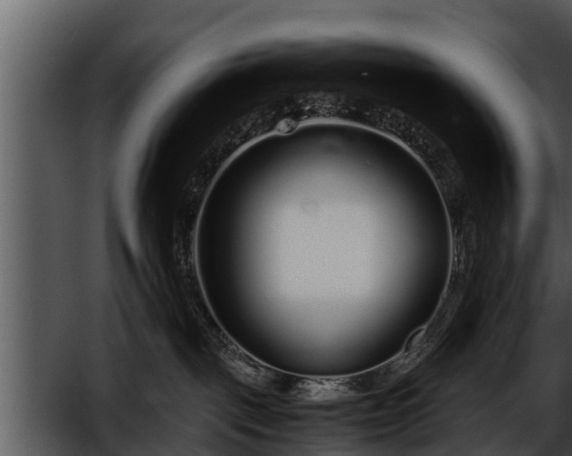 X0000052600093200507160022