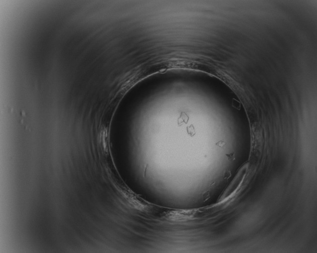 X0000052600094200507160022