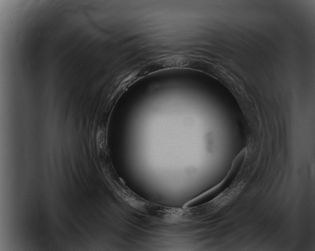 X0000052600096200507160022