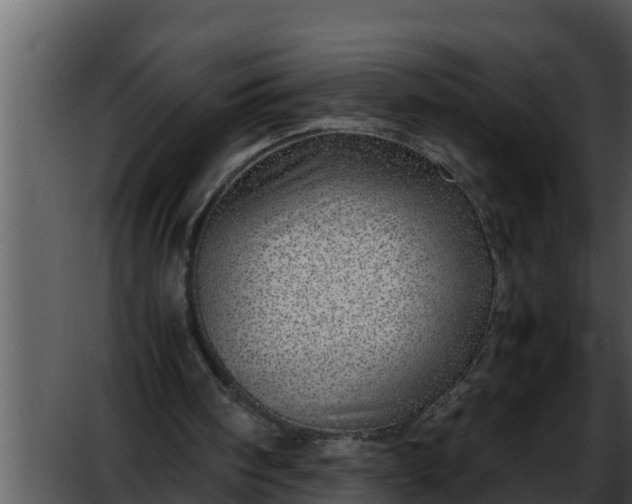 X0000052600098200507160021