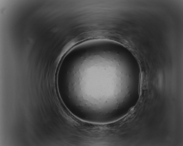 X0000052600099200507160021