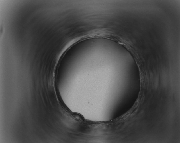 X0000052600100200507160021