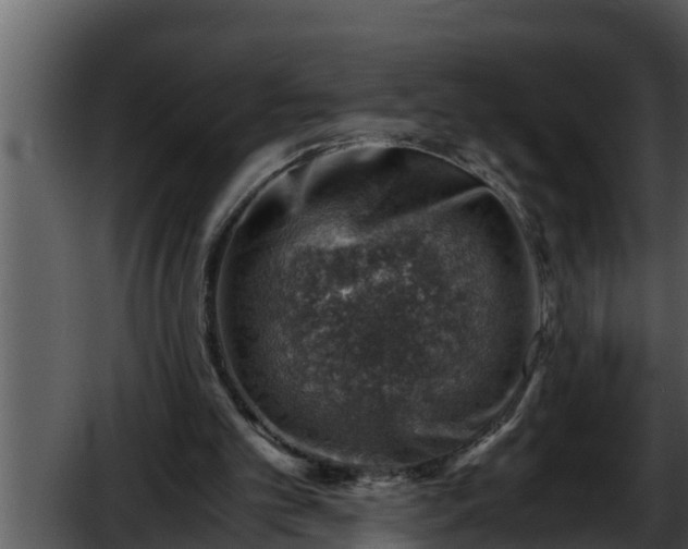 X0000052600101200507160021