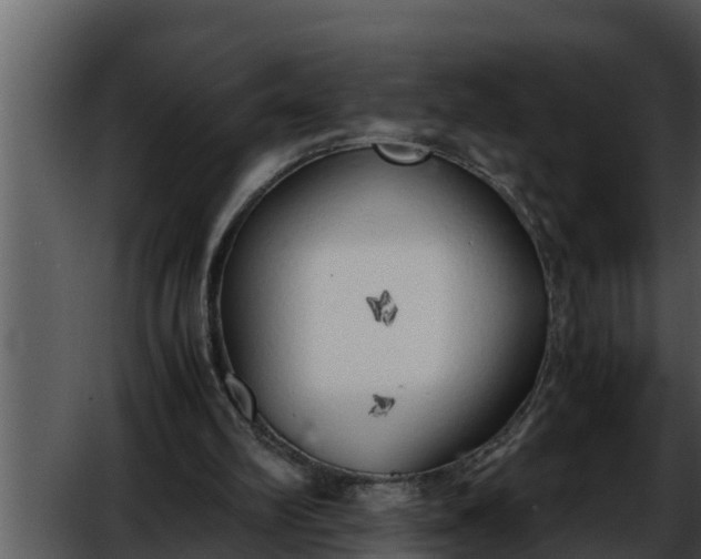 X0000052600102200507160021