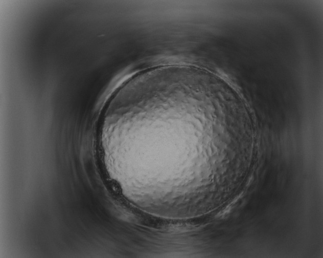 X0000052600103200507160021