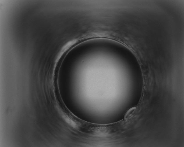 X0000052600104200507160021