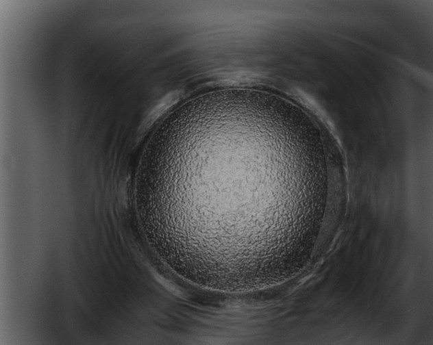 X0000052600105200507160021