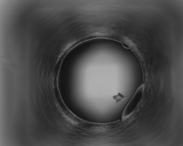 X0000052600106200507160021