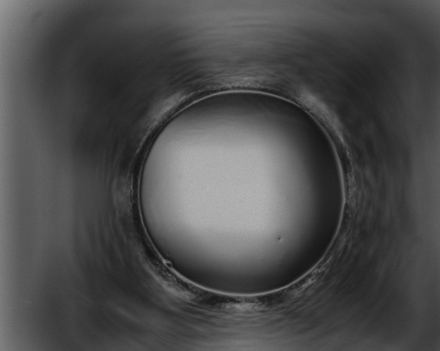 X0000052600107200507160021