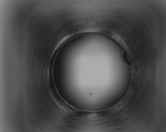 X0000052600108200507160021