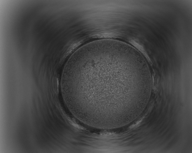 X0000052600109200507160021