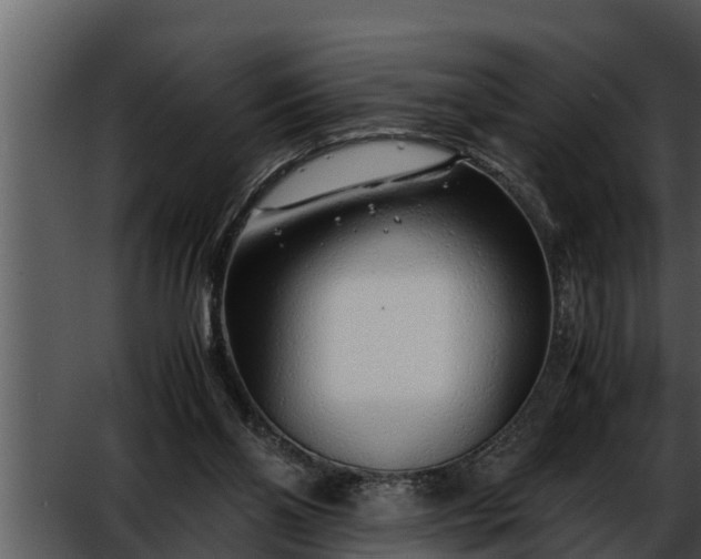 X0000052600110200507160021