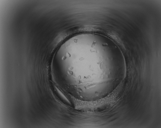 X0000052600111200507160021