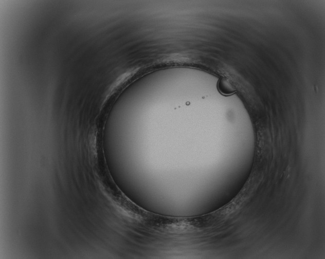 X0000052600112200507160021