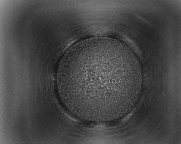 X0000052600113200507160021