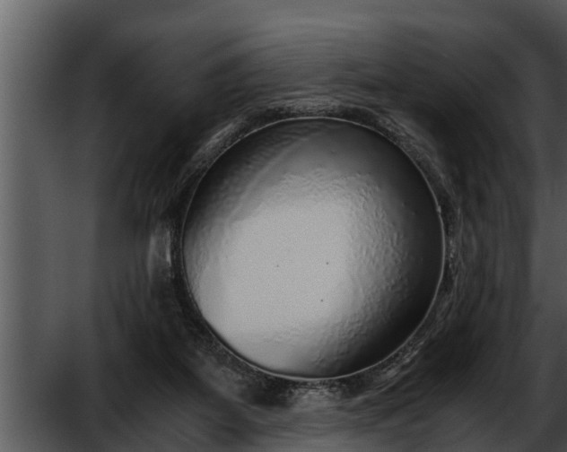 X0000052600115200507160021