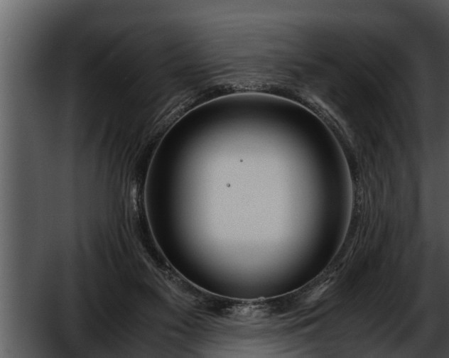 X0000052600117200507160021