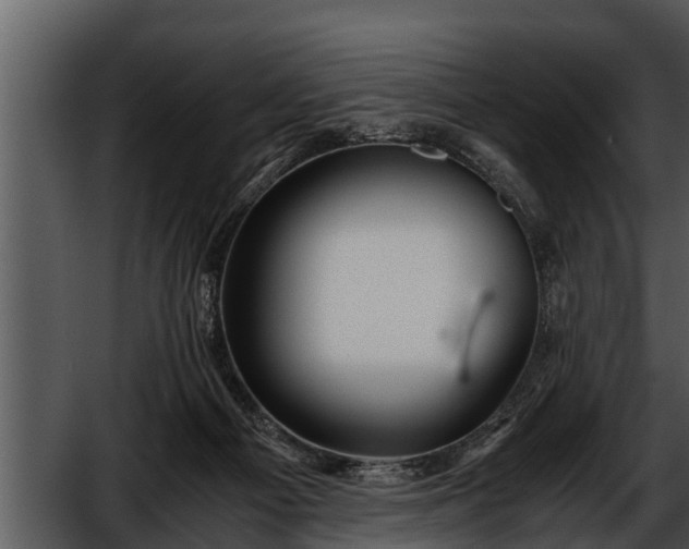 X0000052600121200507160021