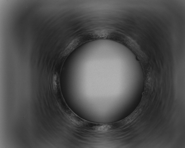 X0000052600122200507160021