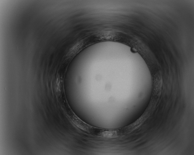 X0000052600126200507160021