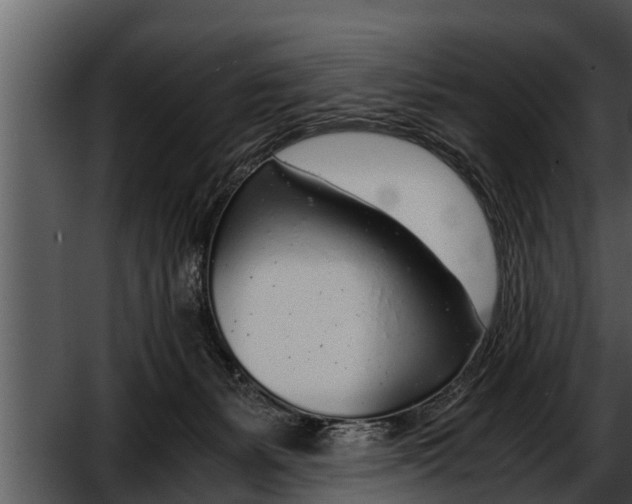 X0000052600127200507160021