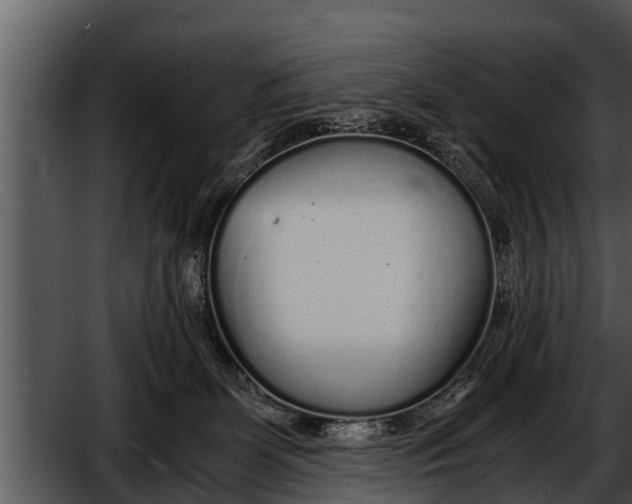 X0000052600131200507160021