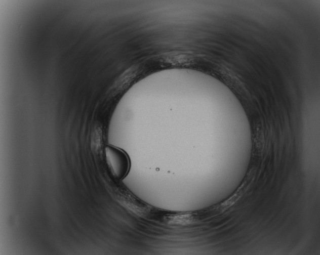 X0000052600132200507160021