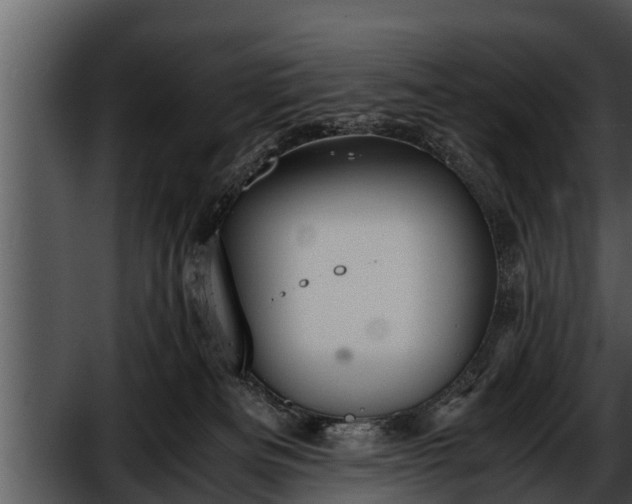 X0000052600133200507160021